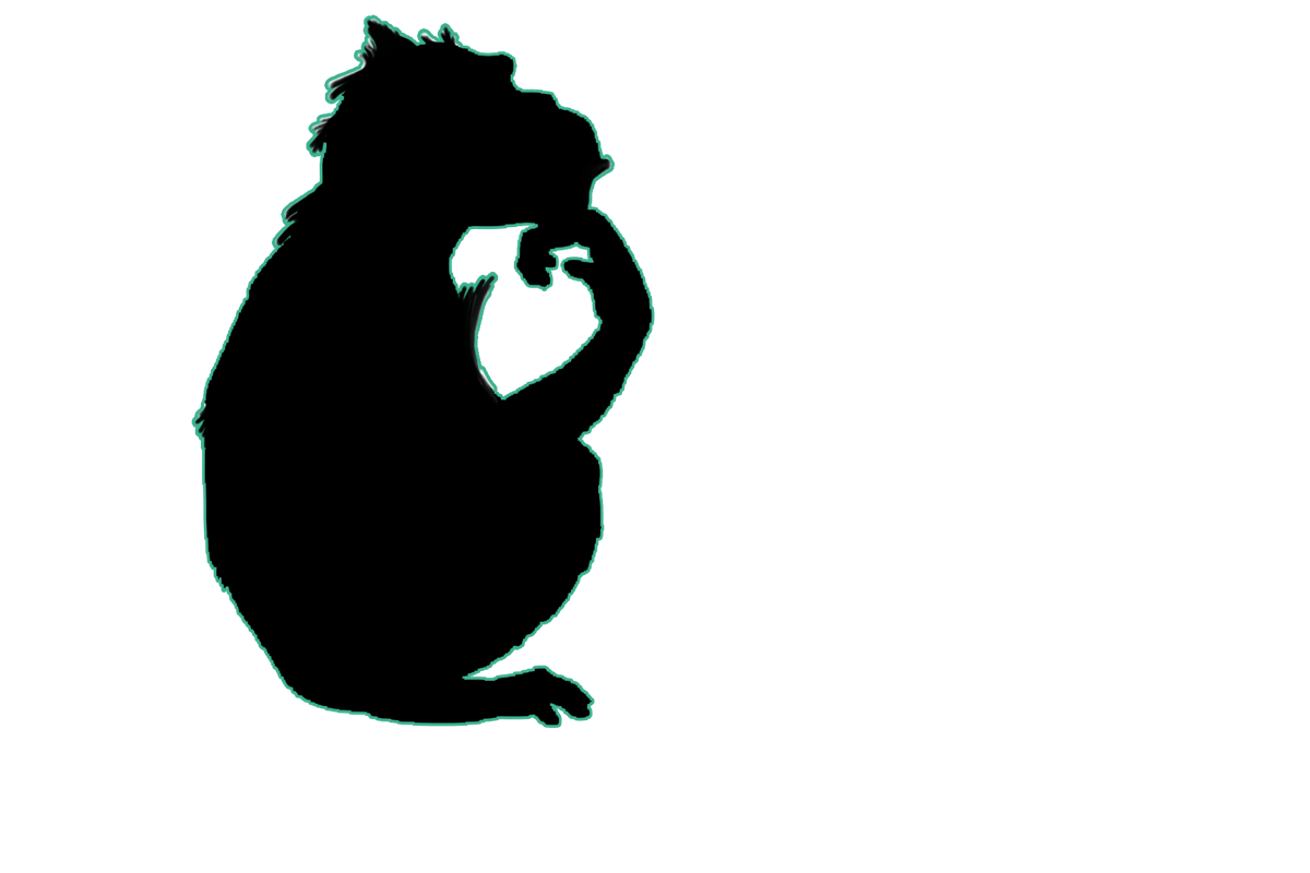 Hoffnung auf ein leichteres Leben dank KI