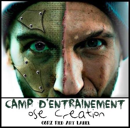 oSe creation is your Webmaster