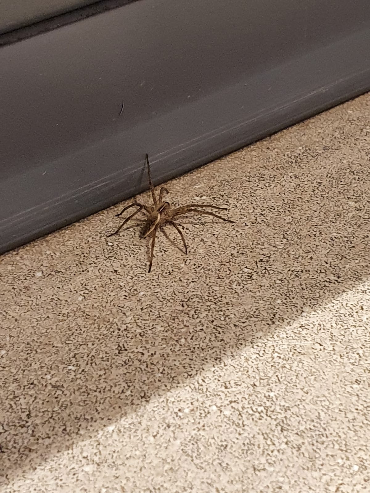 Corona Tagebuch Eintrag Nr.2 - Es tut mir leid, leider dürfen Sie nicht in den Laden...