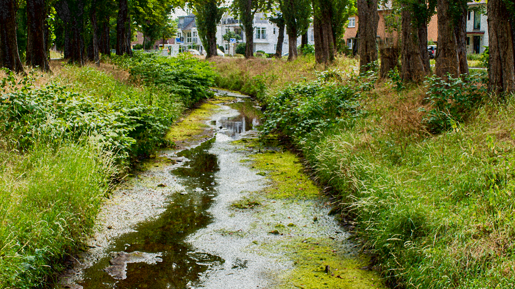 Warte nicht auf mich